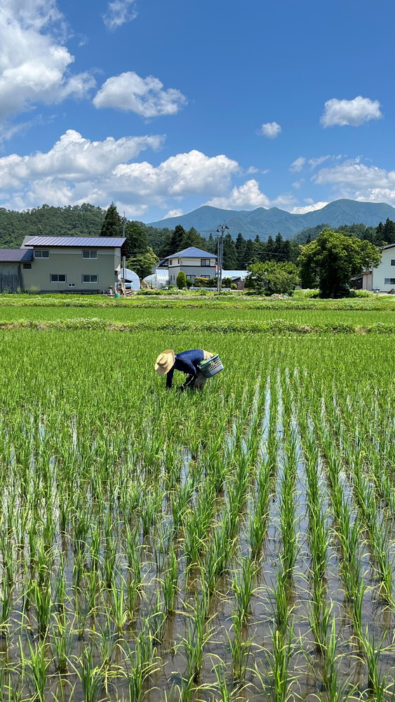 6月